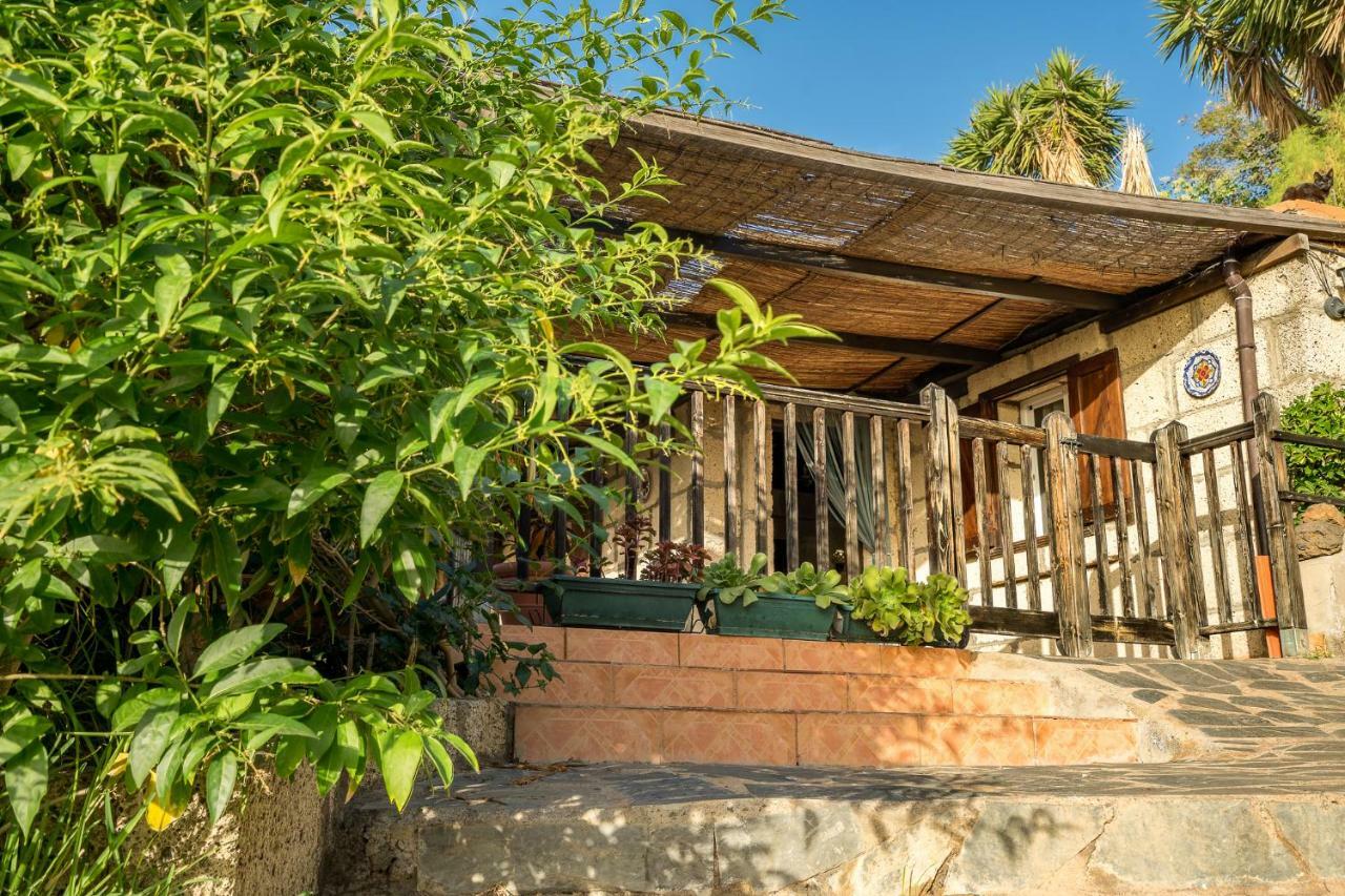 Casitas En El Paraiso Candelaria Exterior photo